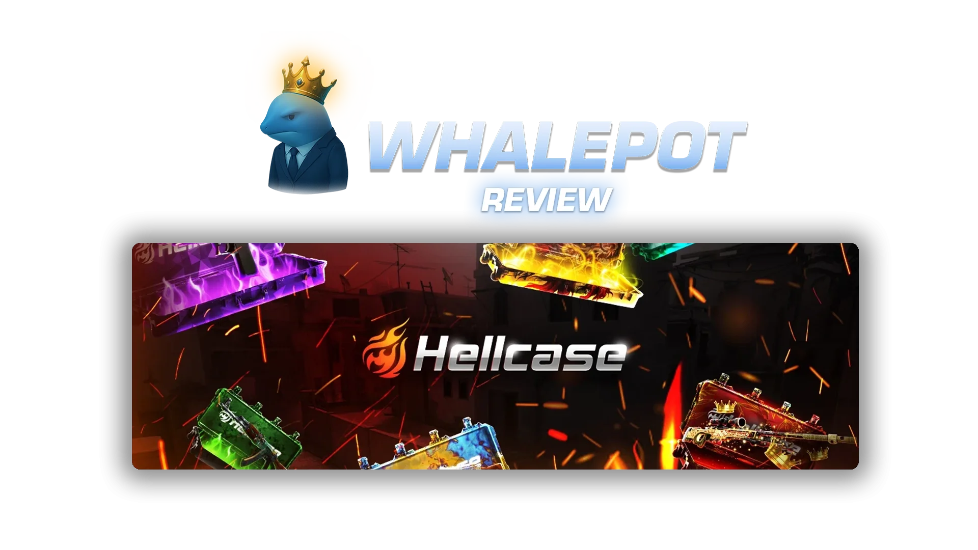 whalepot-reviewshellcase